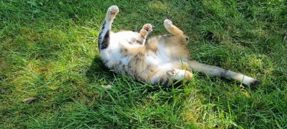 Grundrisse folgen Einfamilienhaus G�tersloh