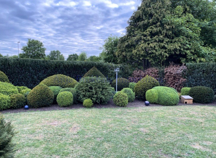 Gro�er Garten Haus G�tersloh
