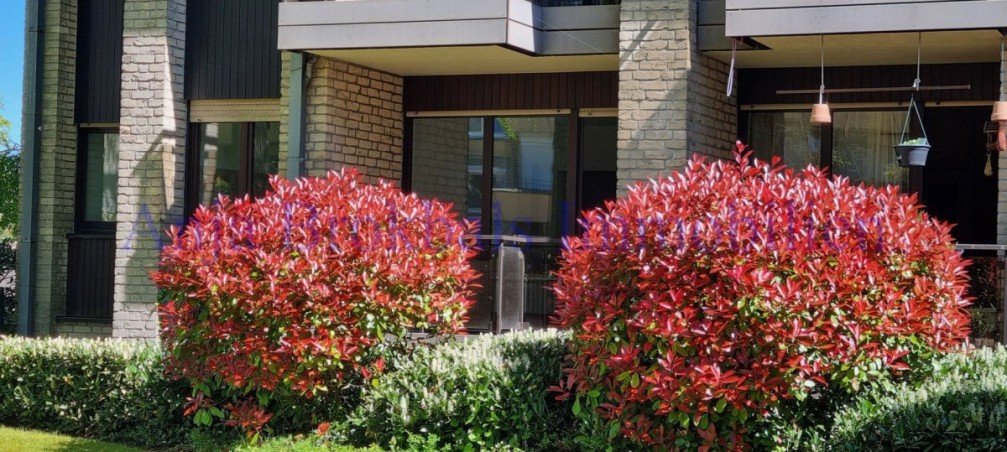 Loggia �berdacht Wohnung G�tersloh