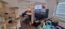 Blick zum Esszimmer EG Zweifamilienhaus mit ausgebautem DG und mit 3 Garagen in Harsewinkel, provisionsfrei f�r K�ufer