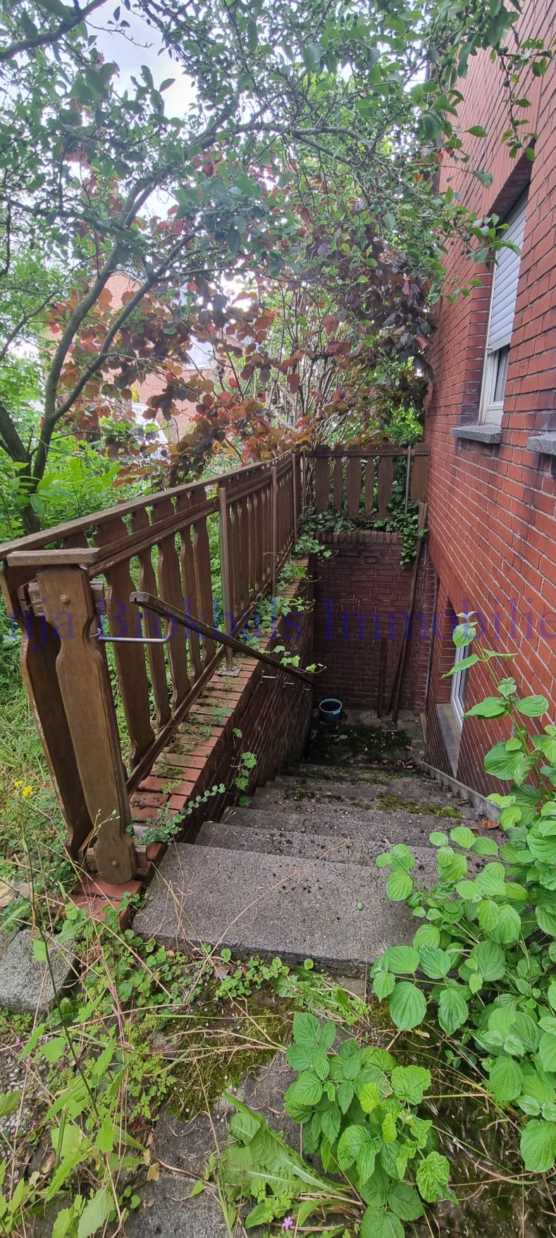 Kellertreppe au�en Zweifamilienhaus Beckum